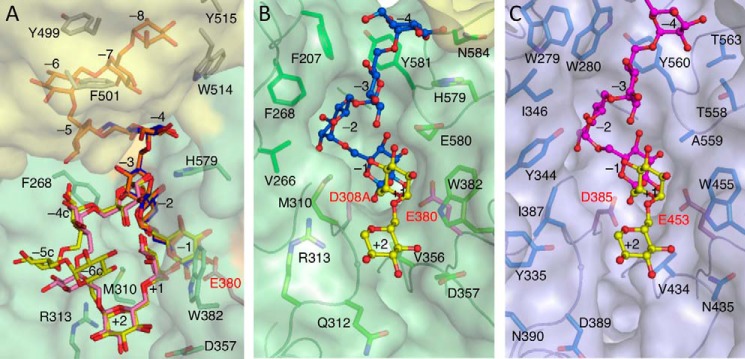 FIGURE 4.