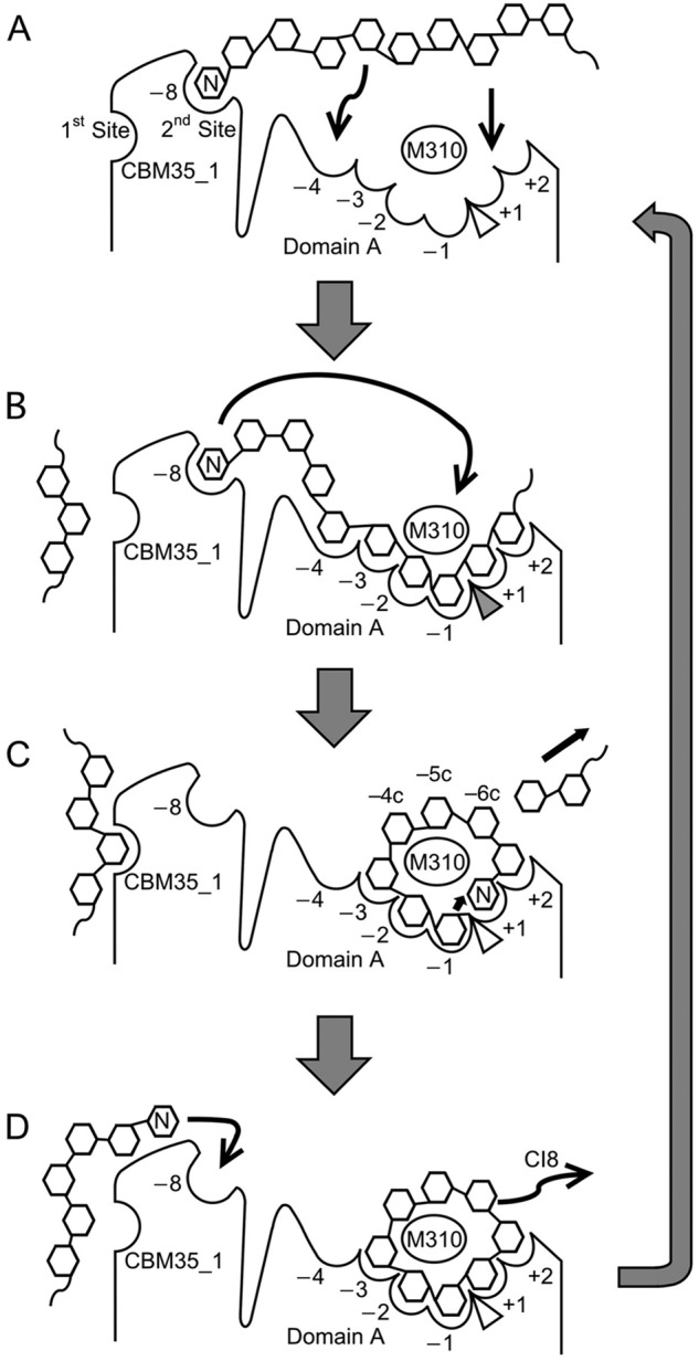 FIGURE 6.