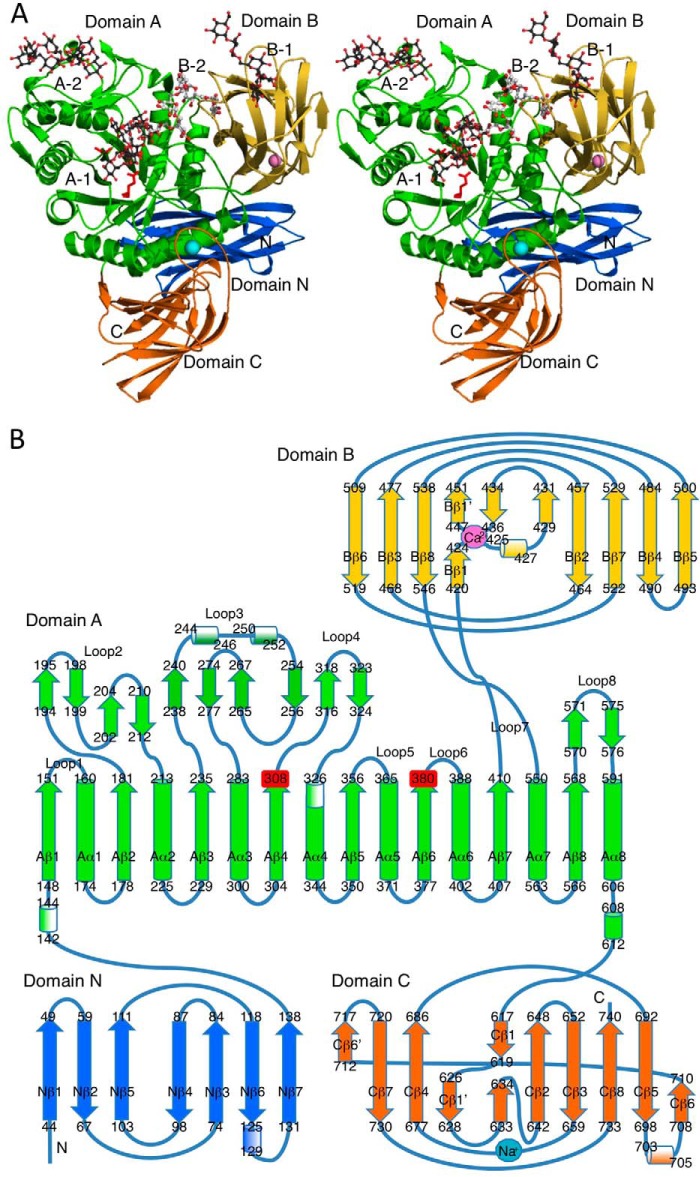 FIGURE 1.