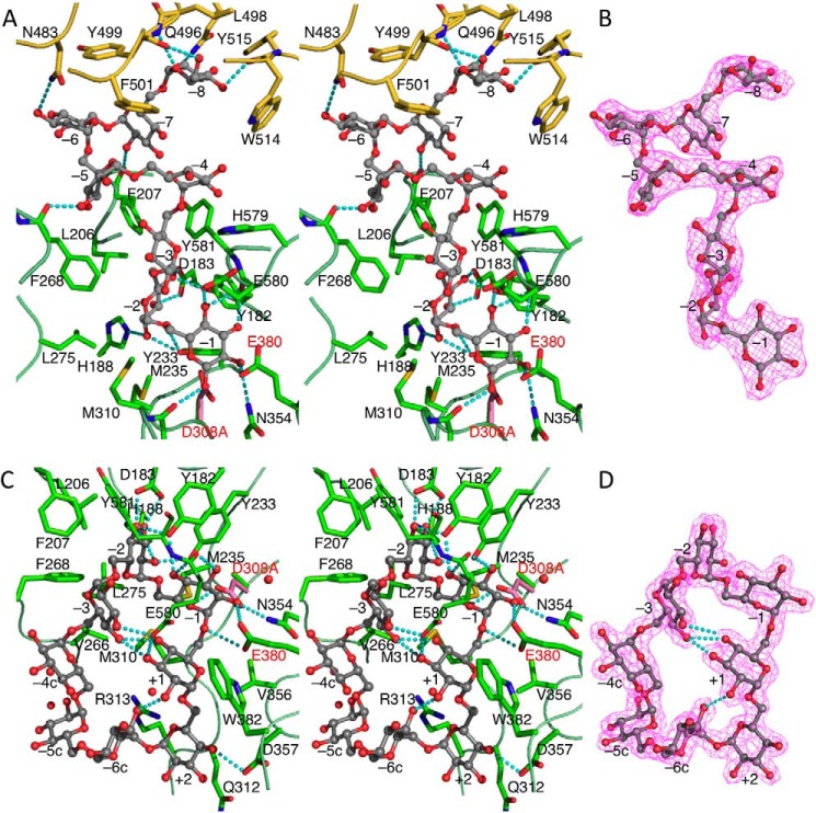 FIGURE 5.