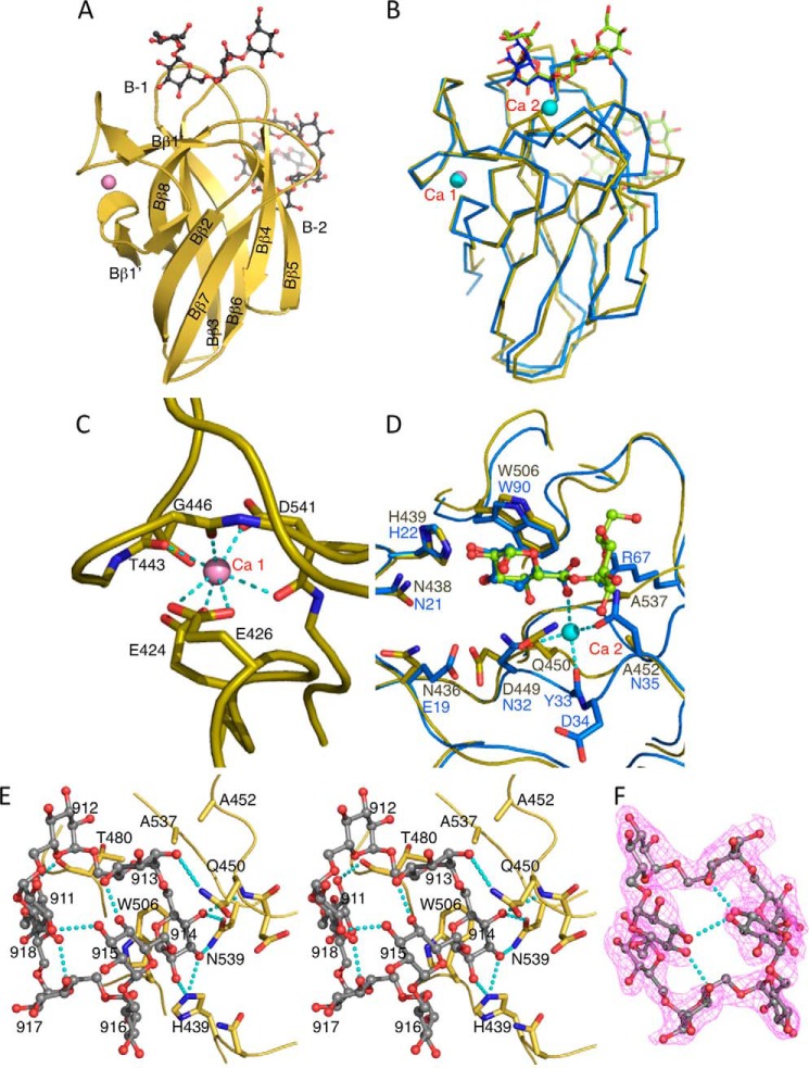 FIGURE 3.