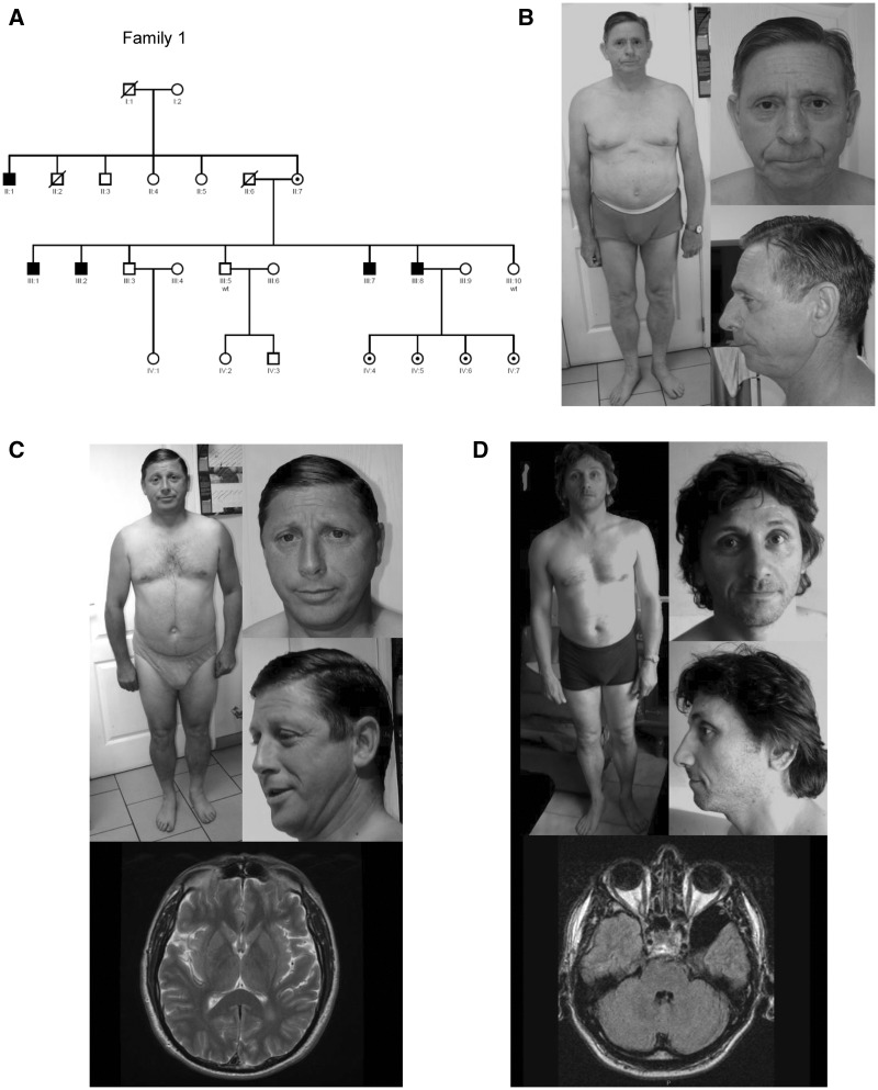 Figure 1.