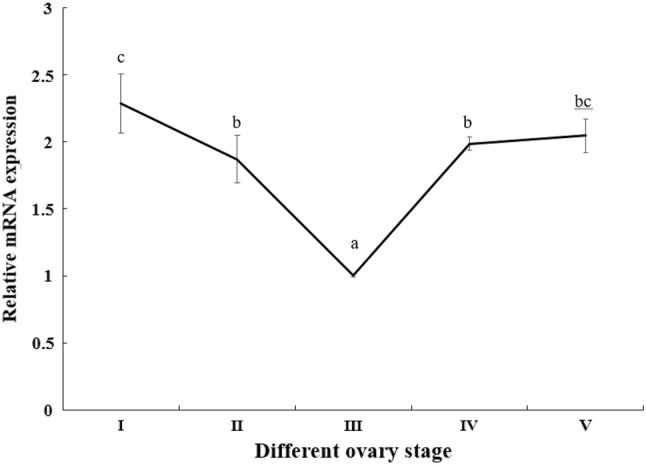 Fig. 6