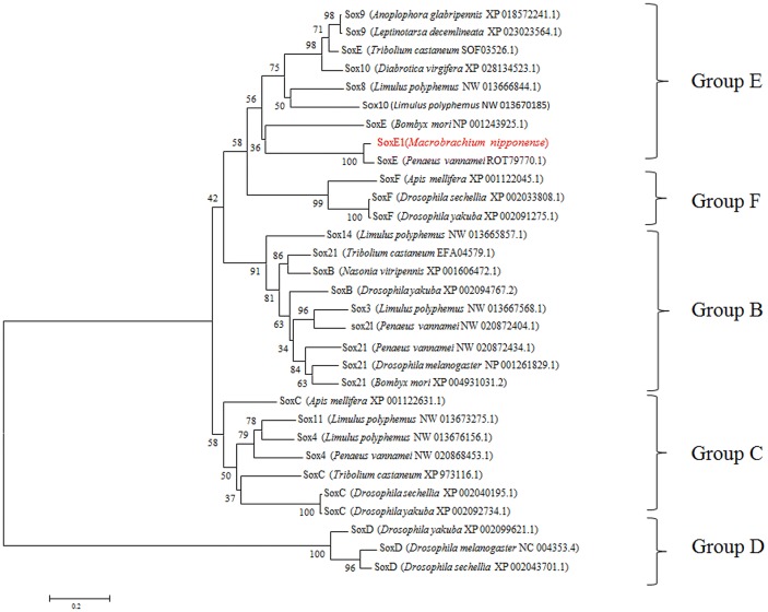 Fig. 3