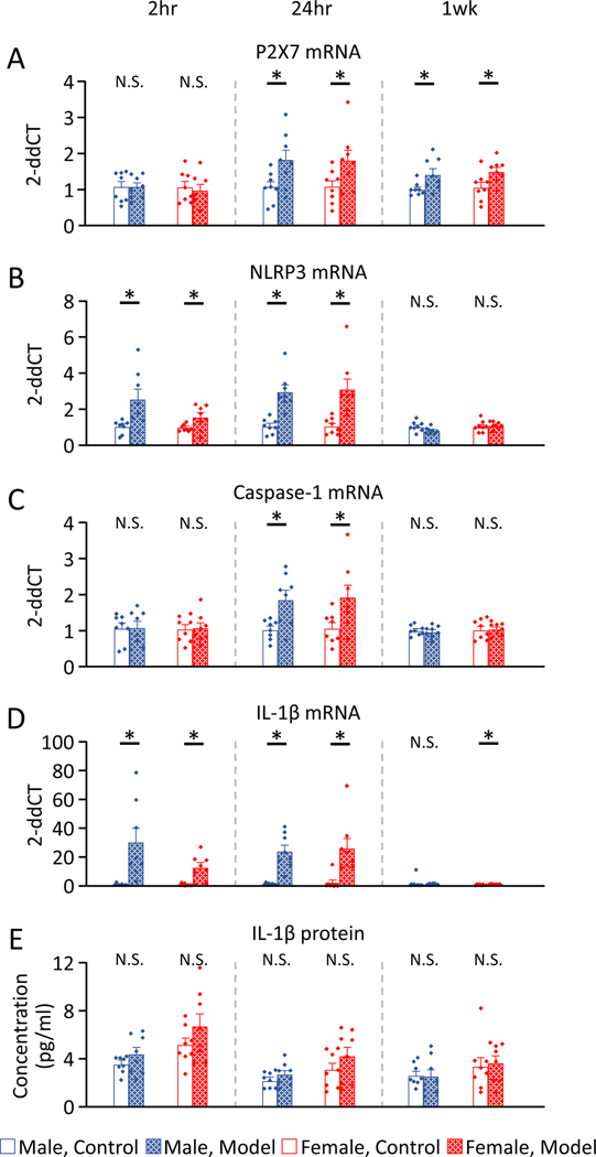 Figure 3.