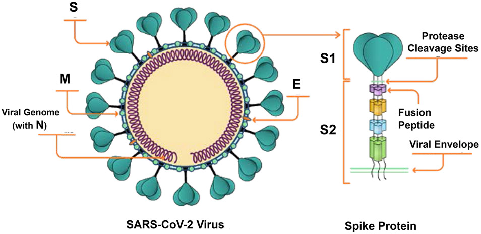 Figure 1.