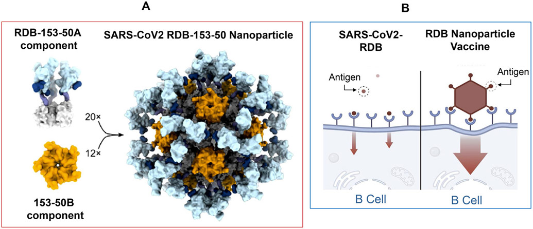 Figure 9.