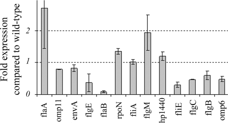 FIG. 1.