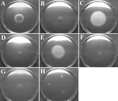 FIG. 5.