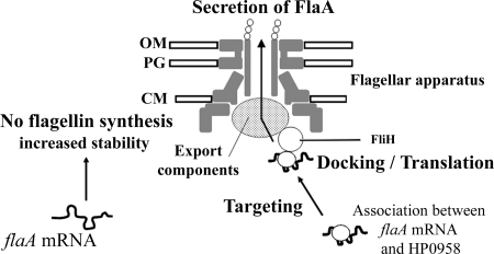 FIG. 7.