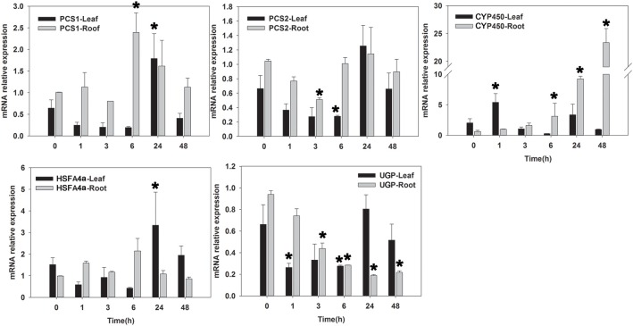 Figure 6