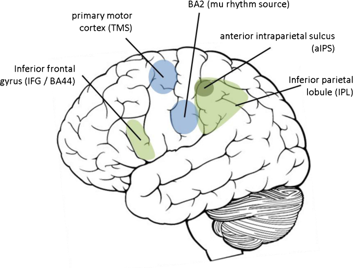 Fig. 1