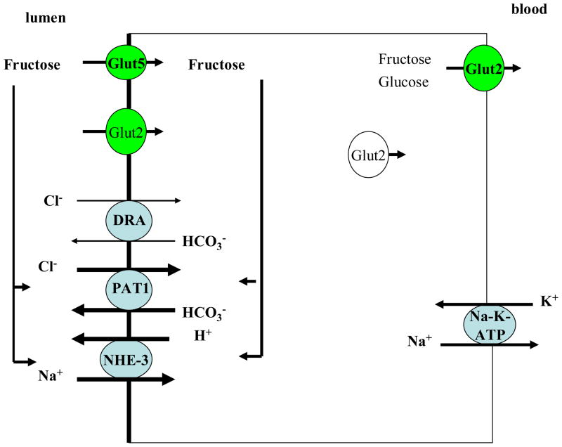 Schematic diagram 3