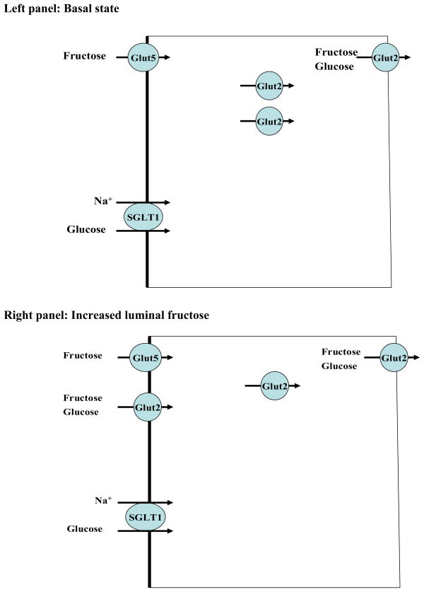 Schematic diagram 1