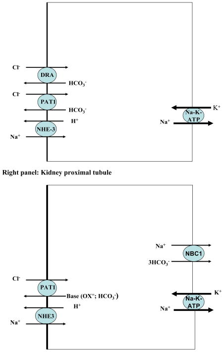 Schematic diagram 2