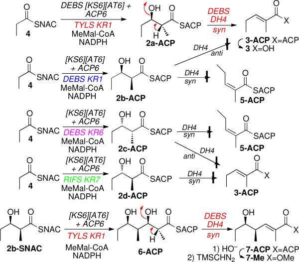 Scheme 2