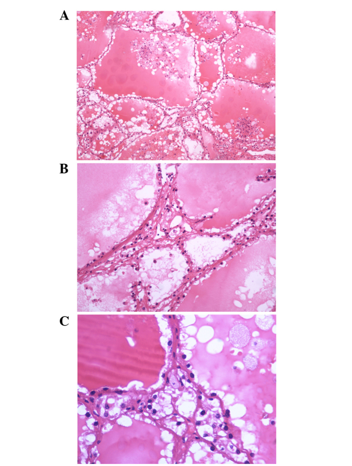 Figure 5.