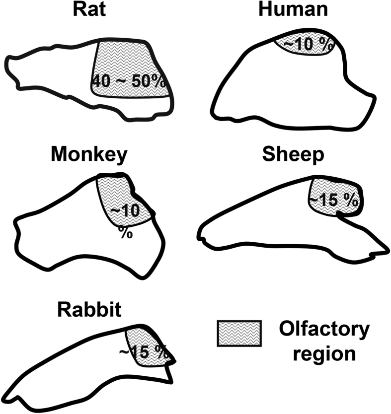 Figure 5