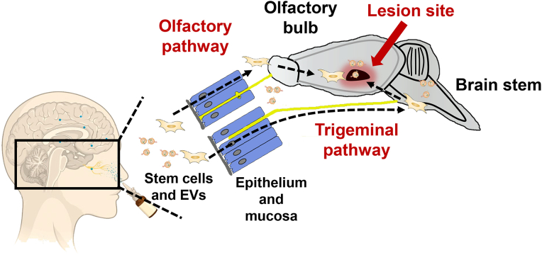 Figure 2