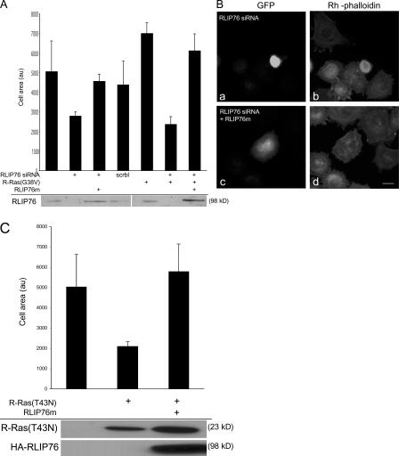 Figure 2.