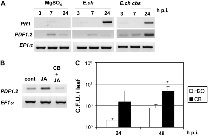 Figure 7.