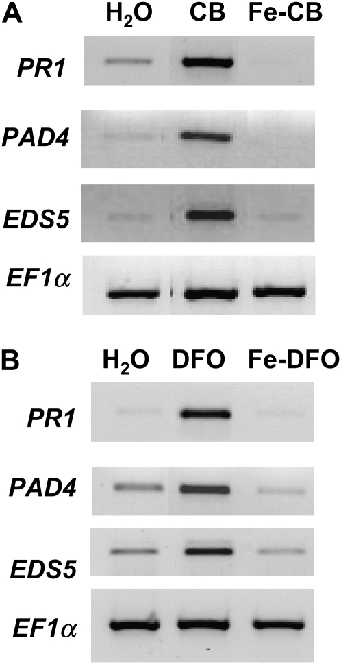 Figure 3.