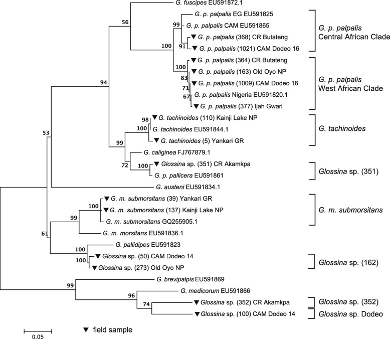 Fig. 2