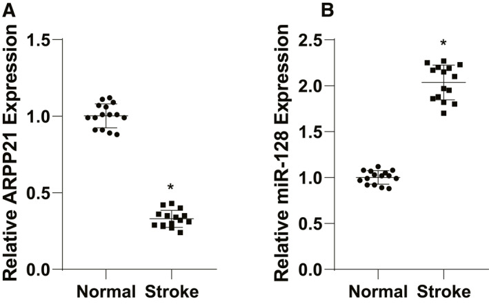 FIGURE 1