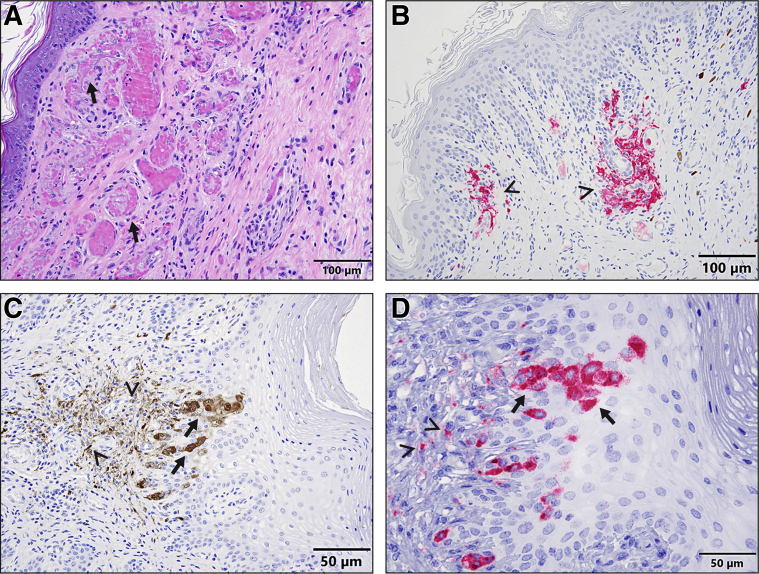 Figure 2