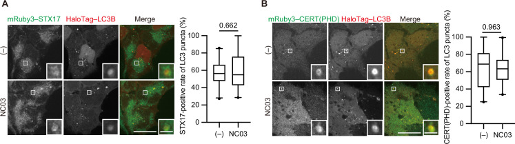 Figure 4—figure supplement 1.