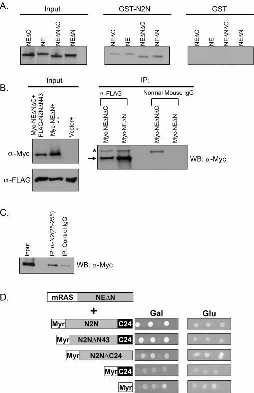 FIG. 4.