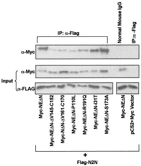 FIG. 7.