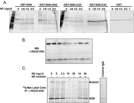 FIG. 5.