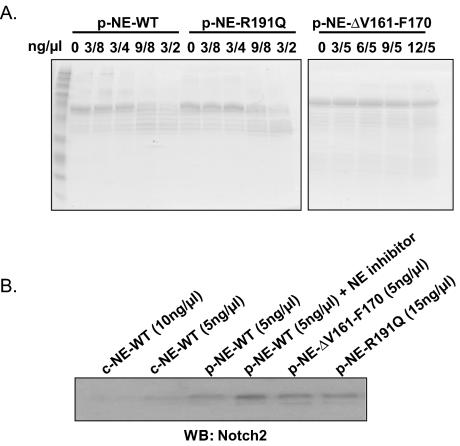 FIG. 8.