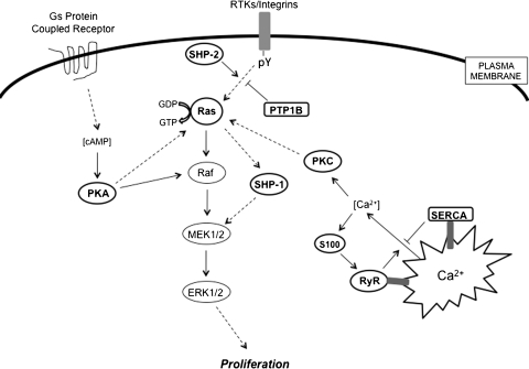 FIG. 7.