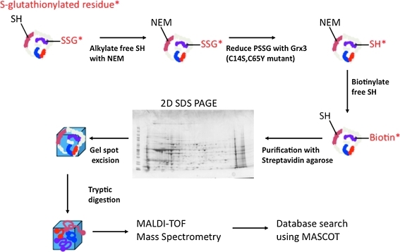 FIG. 4.