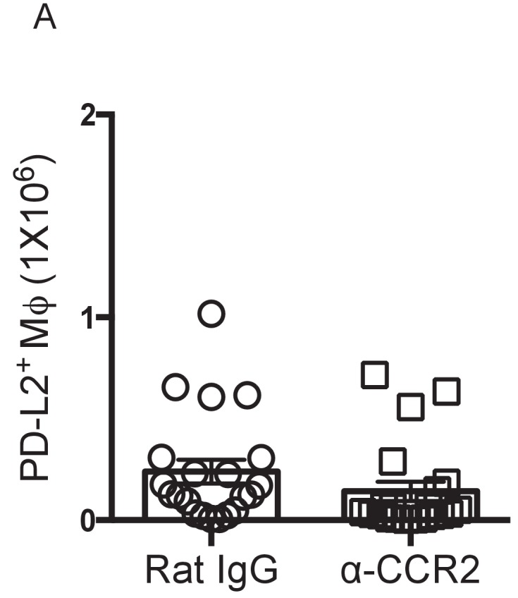 Figure 4—figure supplement 1.