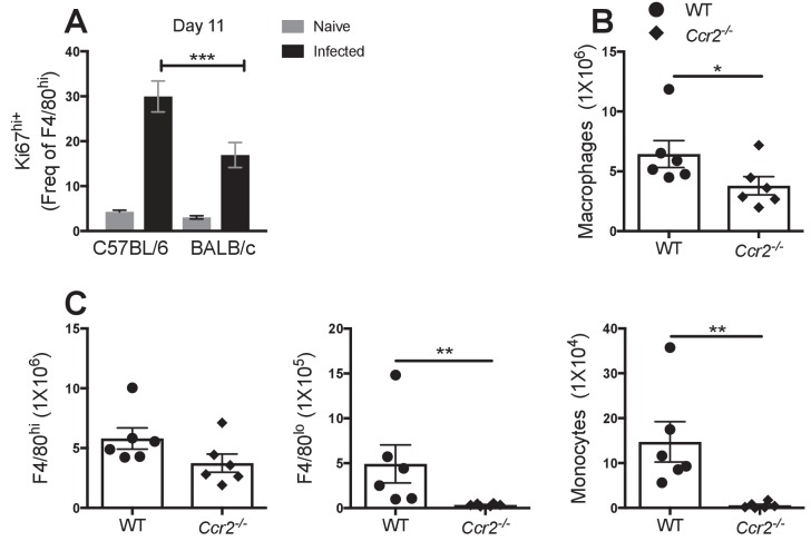 Figure 3—figure supplement 1.