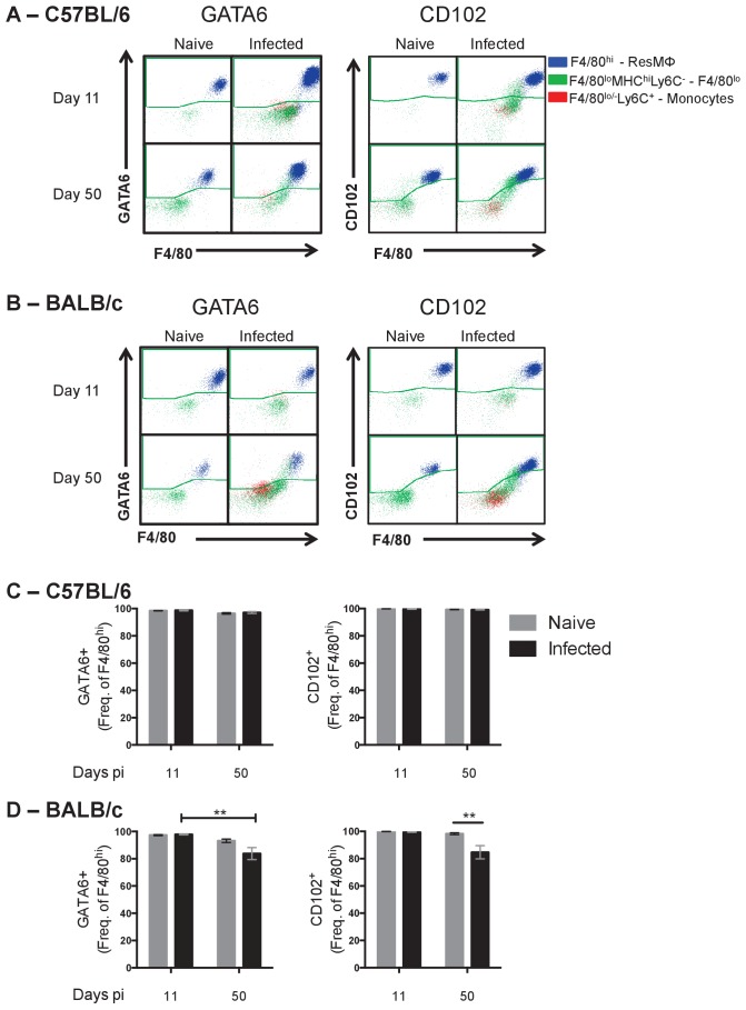 Figure 2—figure supplement 1.