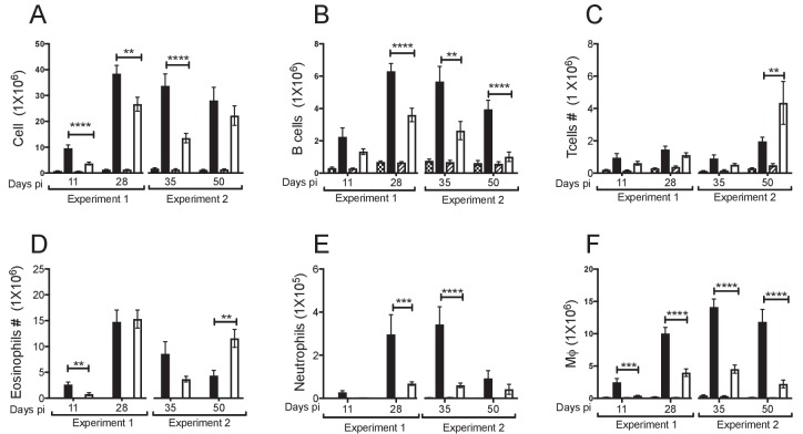 Figure 1—figure supplement 1.