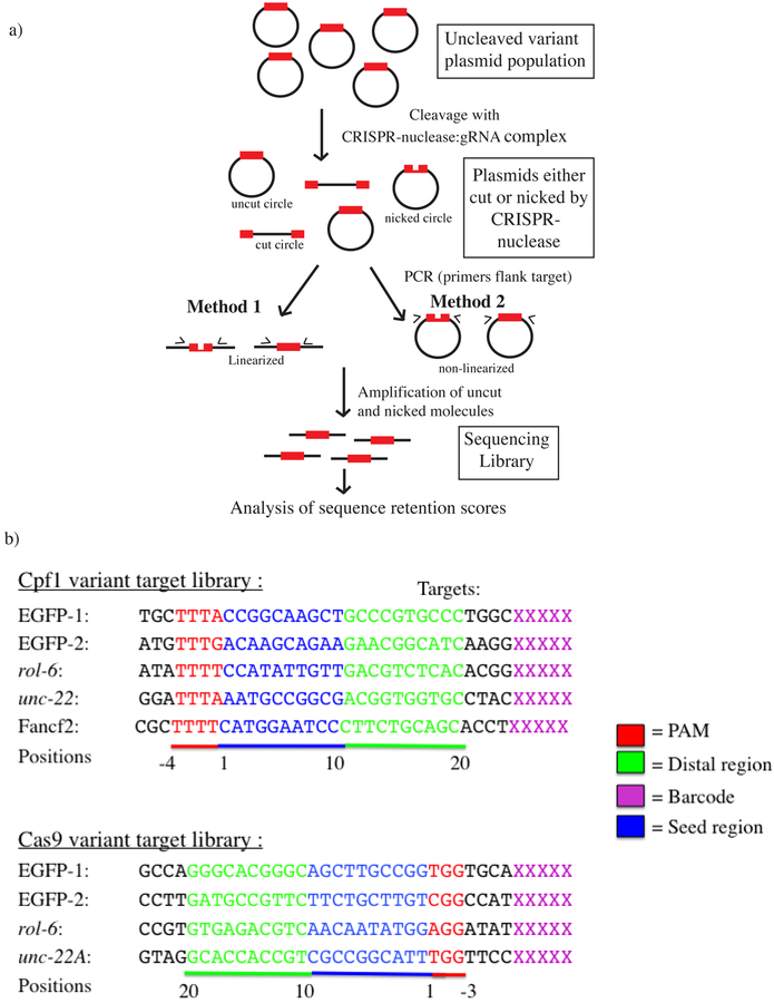 Figure 1: