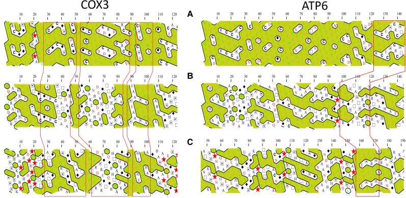 
Fig. 4.