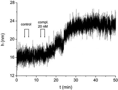 Fig. 4.