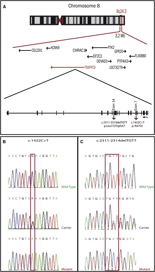 Figure 2