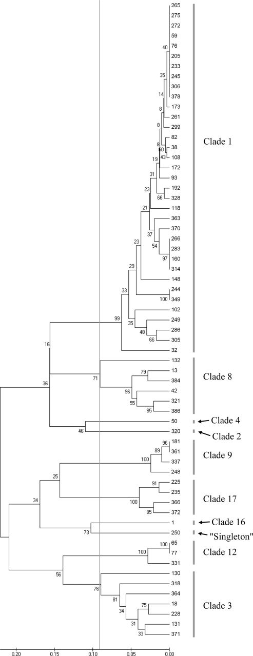 FIG. 1.