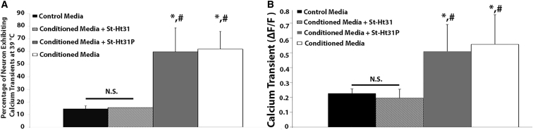 Figure 5