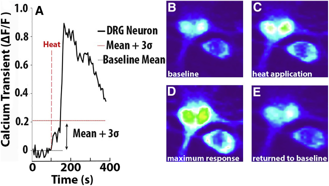 Figure 2