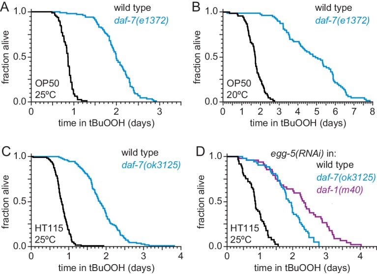 Figure 2—figure supplement 1.