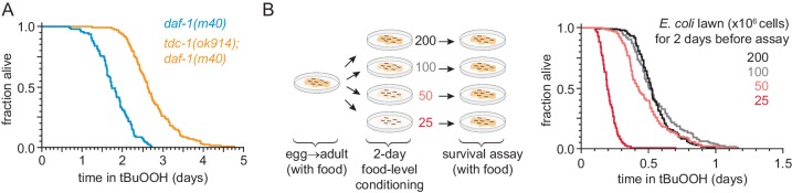 Figure 7—figure supplement 1.