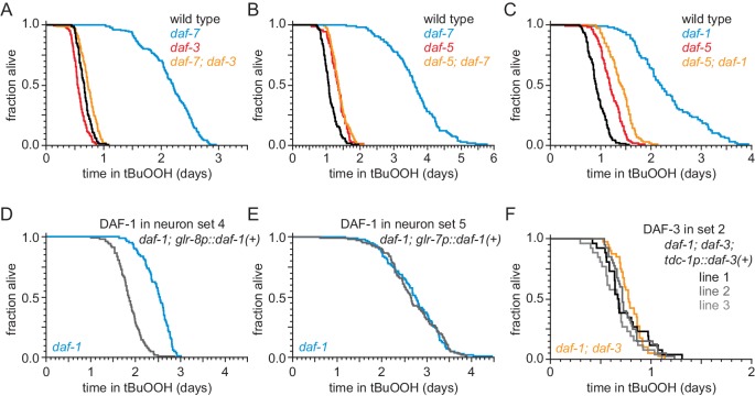 Figure 3—figure supplement 1.